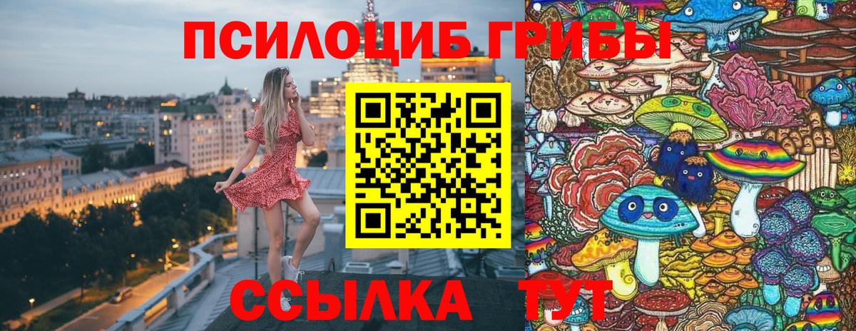 Галлюциногенные грибы Cubensis  Вход с VPN  Галлюциногенные грибы Psilocybine cubensis  Кстово 